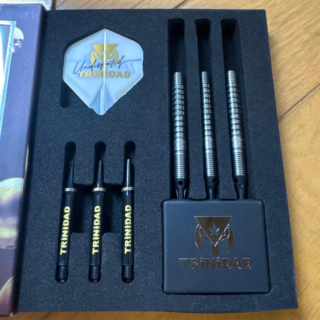 トリニダード ロメロ タイプ3 ST 岩田夏海モデル エスダーツ限定モデル2BA