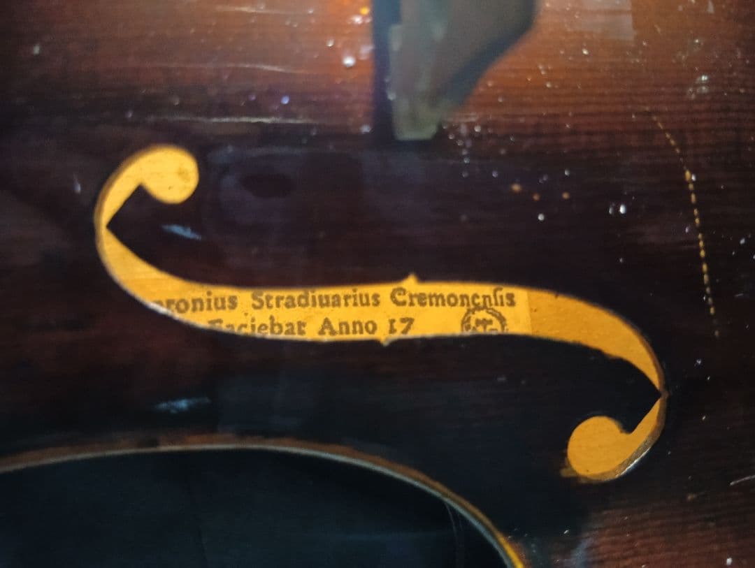 激安 Antonius Stradivarius Cremoncnfis 裏単板