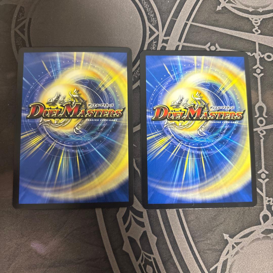 シャコガイル　a b ２枚