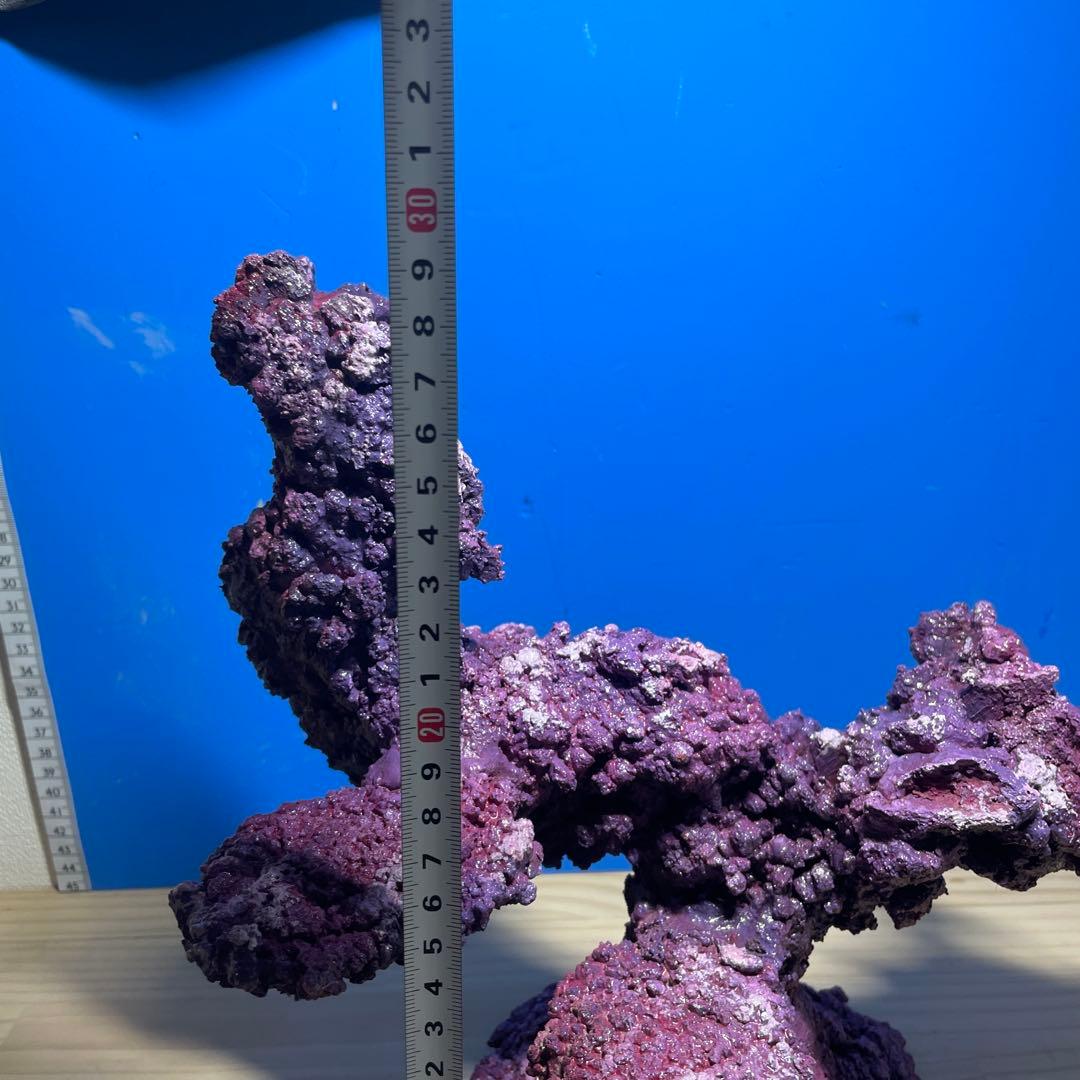 人工ライブロックSHR24 アク抜き済み安心塗料使用