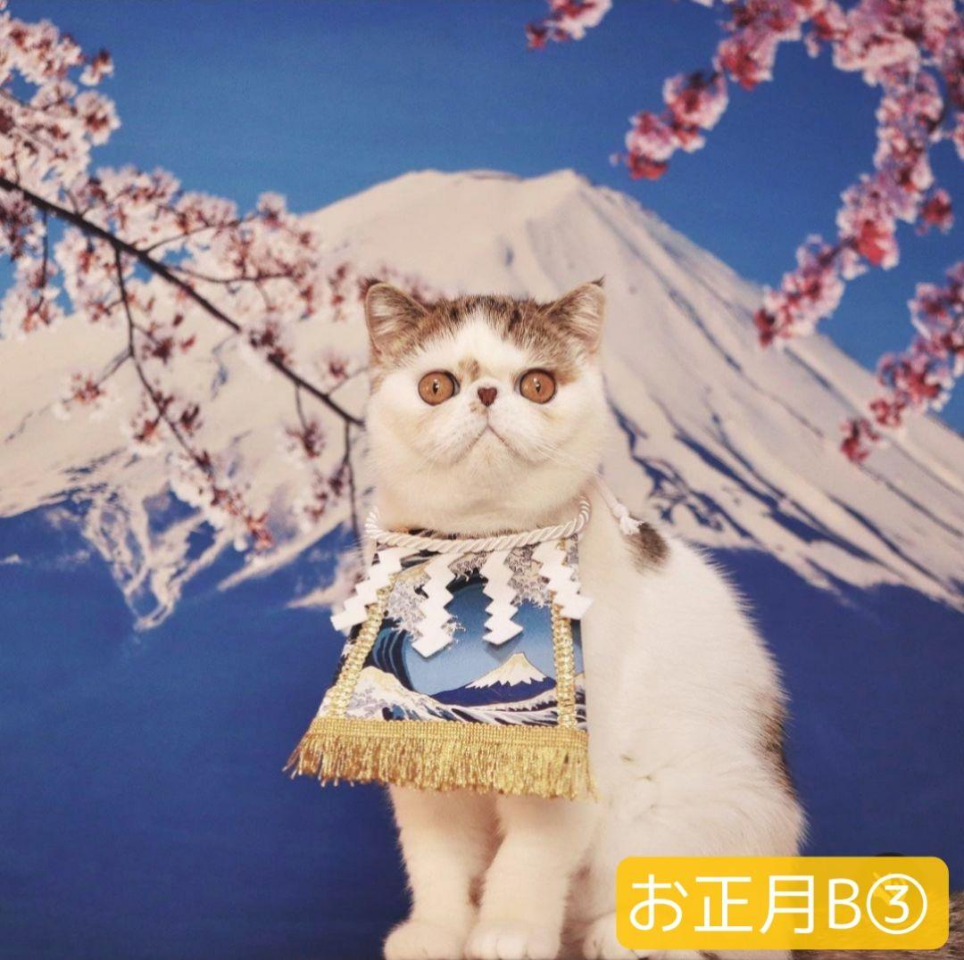 背景布【秋H】サンプル 9月お月見、ペット、トリミング撮影用