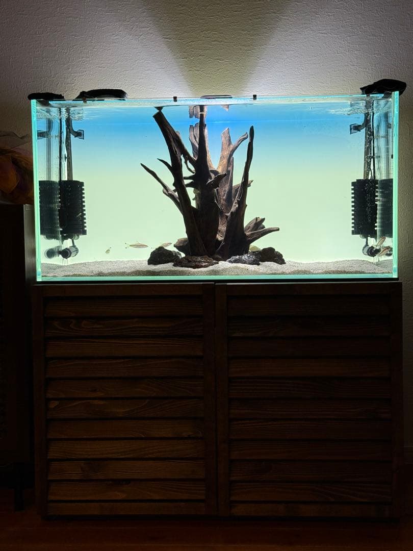 ADA ホーンウッド　2本セット　特大　送料無料 アクアテイク‐E ブログ: 特選！ ADAホーンウッドのXLサイズが入荷しま