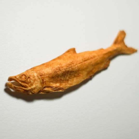 竹谷隆之「干し鮭」レジンキット