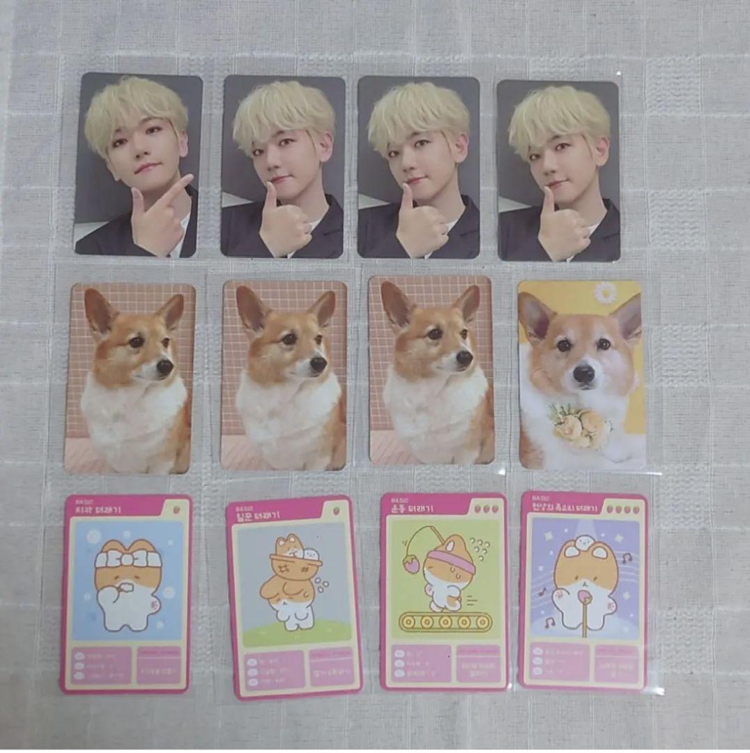 トレギ ベッキョン ぬいぐるみ 80cm EXO トレギ ベッキョン ぬいぐるみ