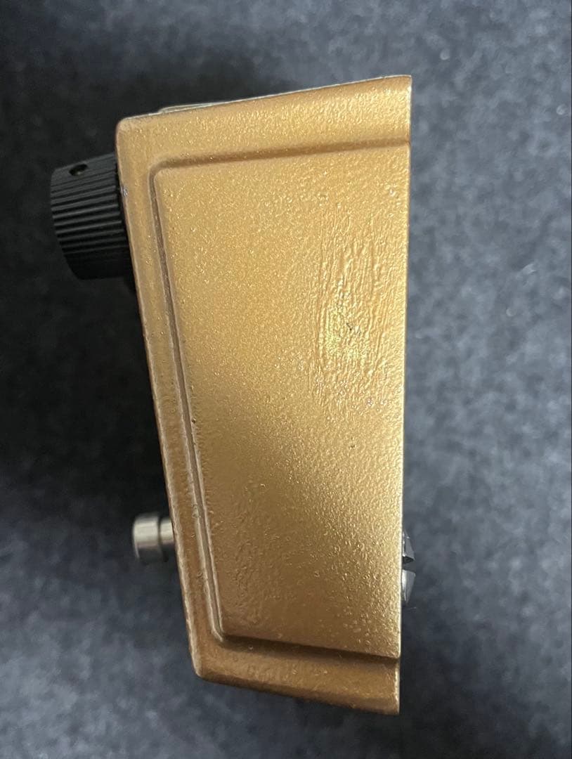 Lemon & Ginger けんたろう　5周年記念モデル