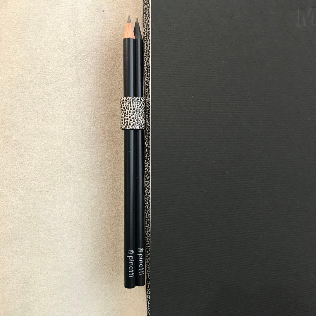 Pinetti スティングレイ エイ革 A4サイズノートカバー　レザーカバー