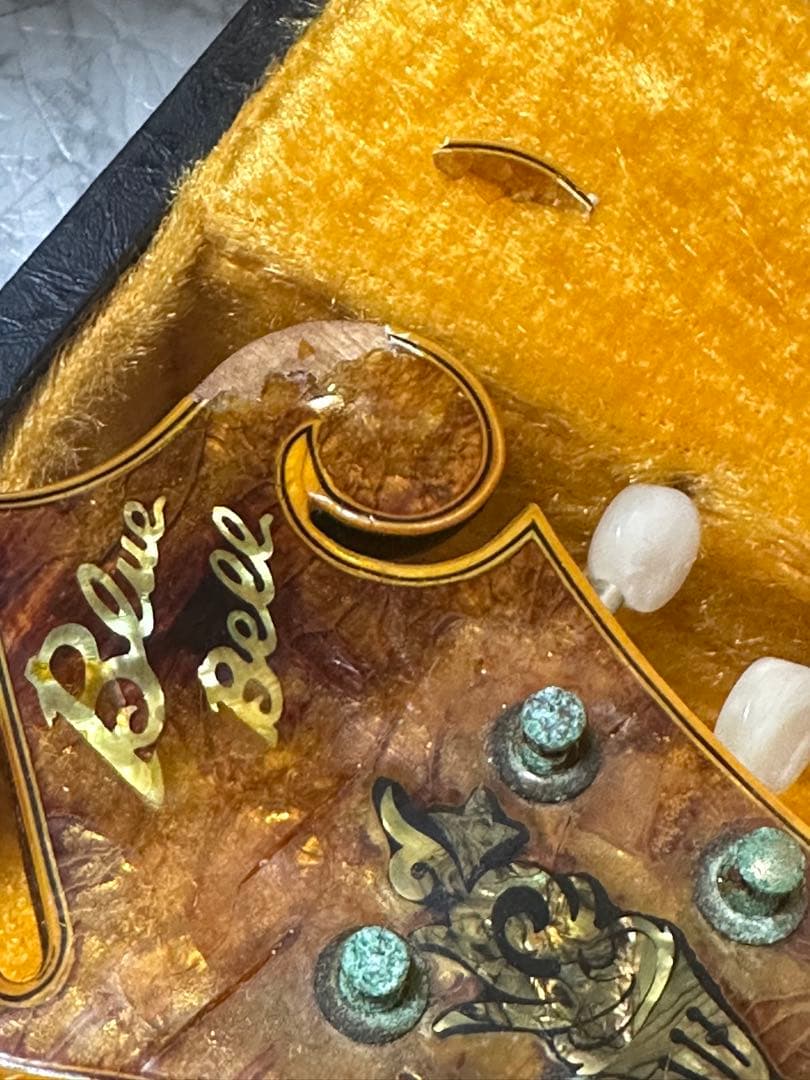 希少】BlueBell フラットマンドリン F-16 小坂部氏サイン ジャンク