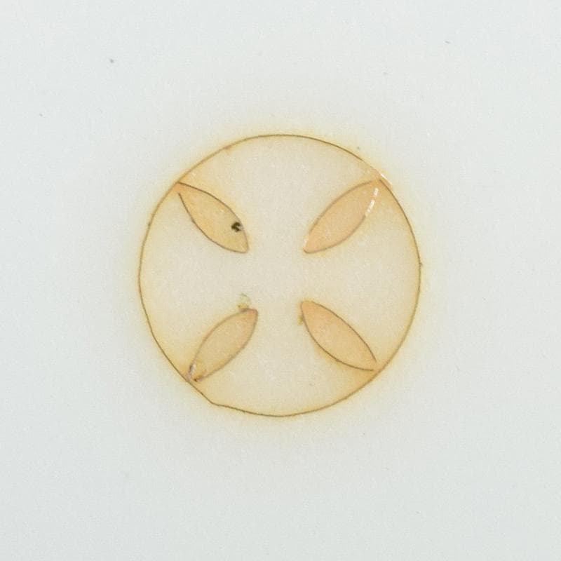 七宝焼　安藤七宝店　藤松紋　盒子蓋物　共箱　M　R7693