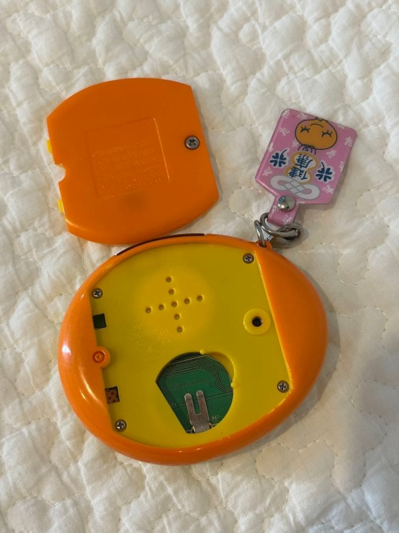 たまごっちスクール せーとぜーいんしゅーごっち2じかん