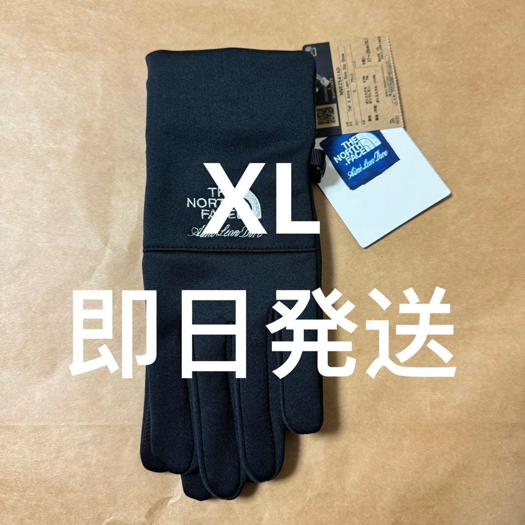 The North Face x Aime Leon Dore Gloves