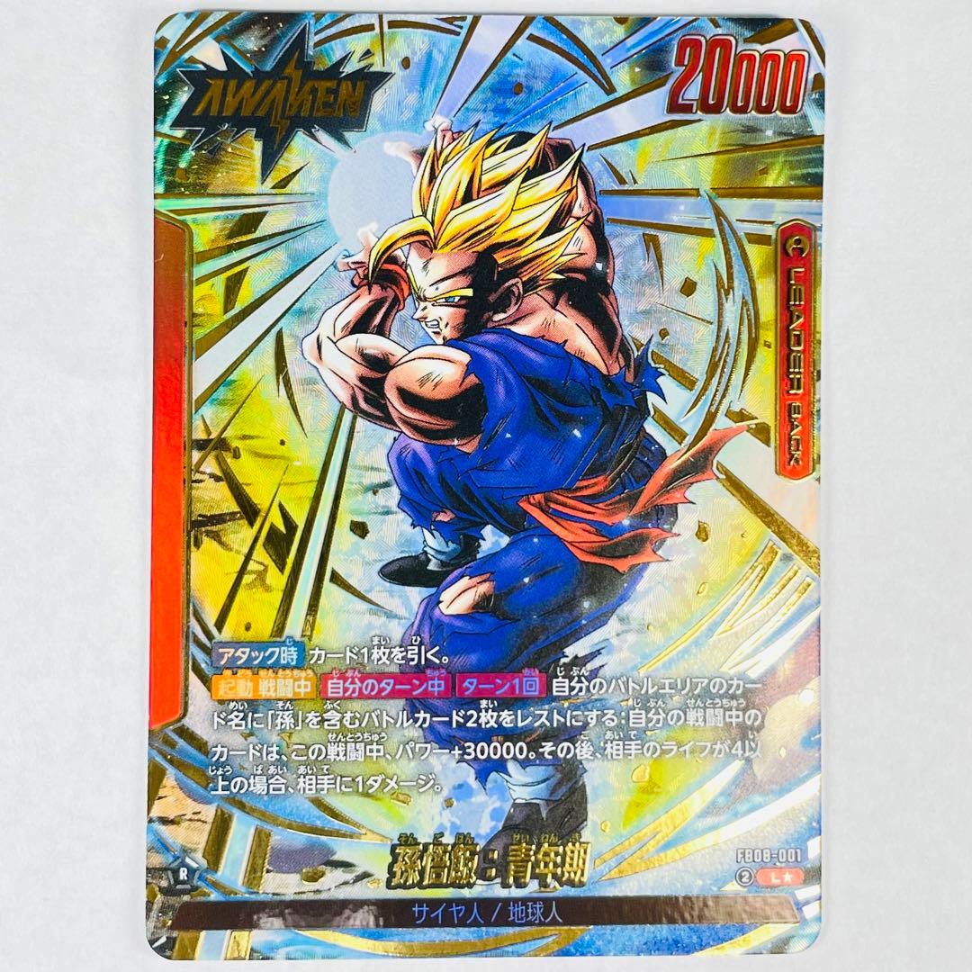 DBFW 誇り高き戦闘民族 L☆ 孫悟飯 パラレル - メルカリ