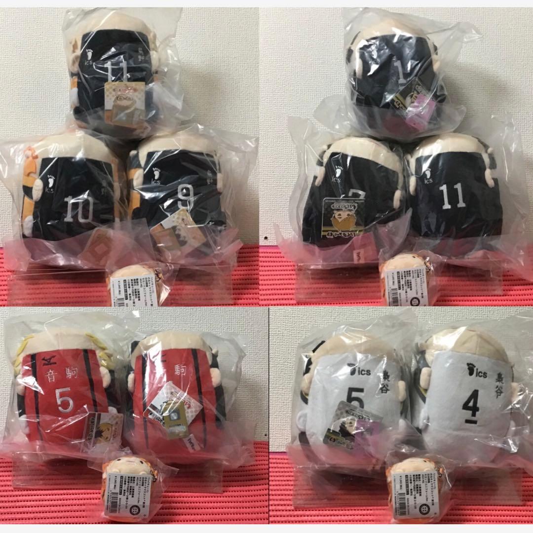 ハイキュー(11)《アニメイト限定　もちもちマスコットMS》