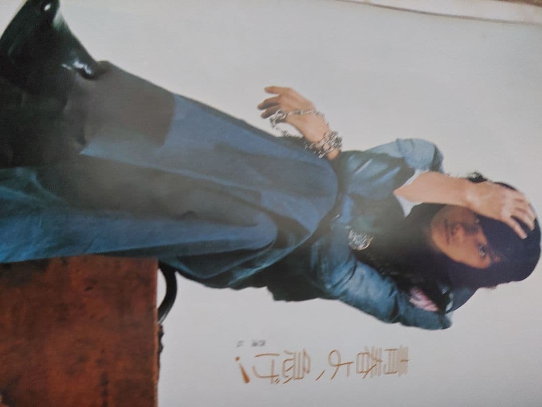 西城秀樹さんパンフレット写真セット