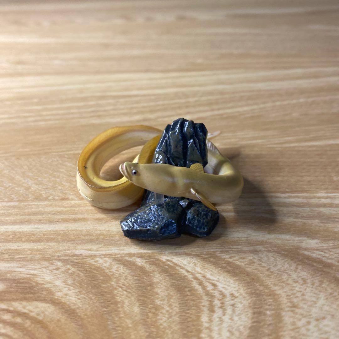 中古】YUJIN 原色淡水魚図鑑 イワナ ウナギ 大正三色 - メルカリ