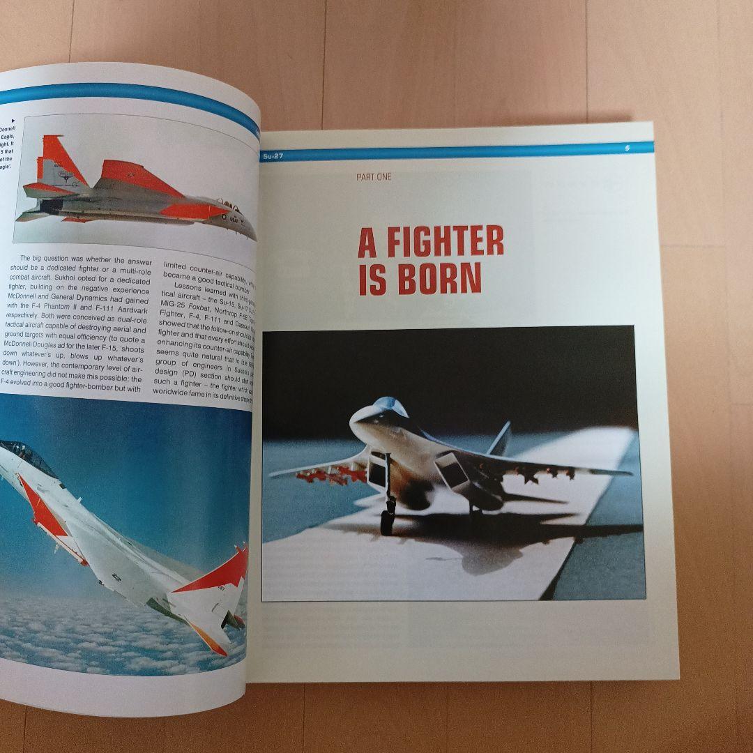 Sukhoi Su-27 スホーイ　スホイ　ロシア