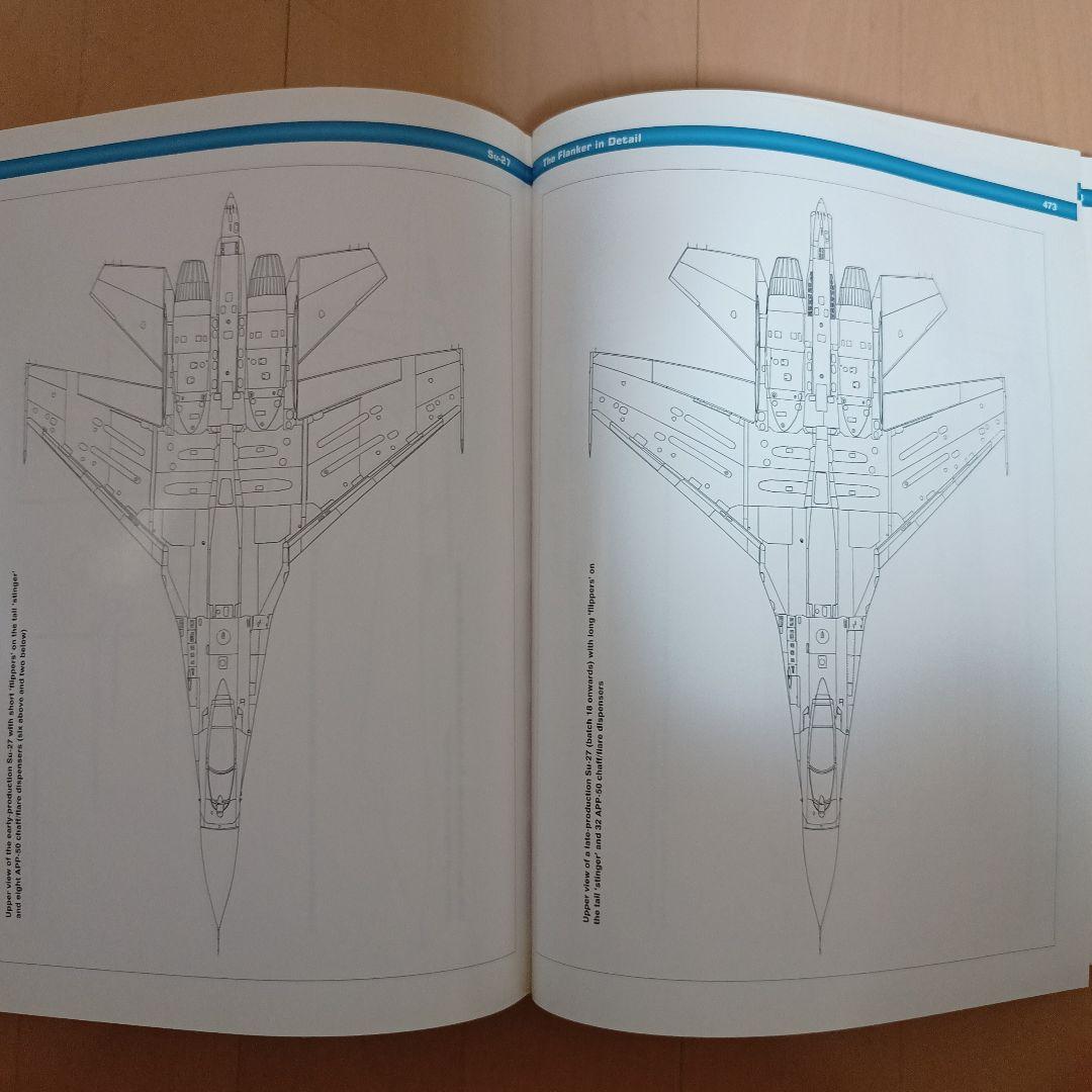 Sukhoi Su-27 スホーイ　スホイ　ロシア