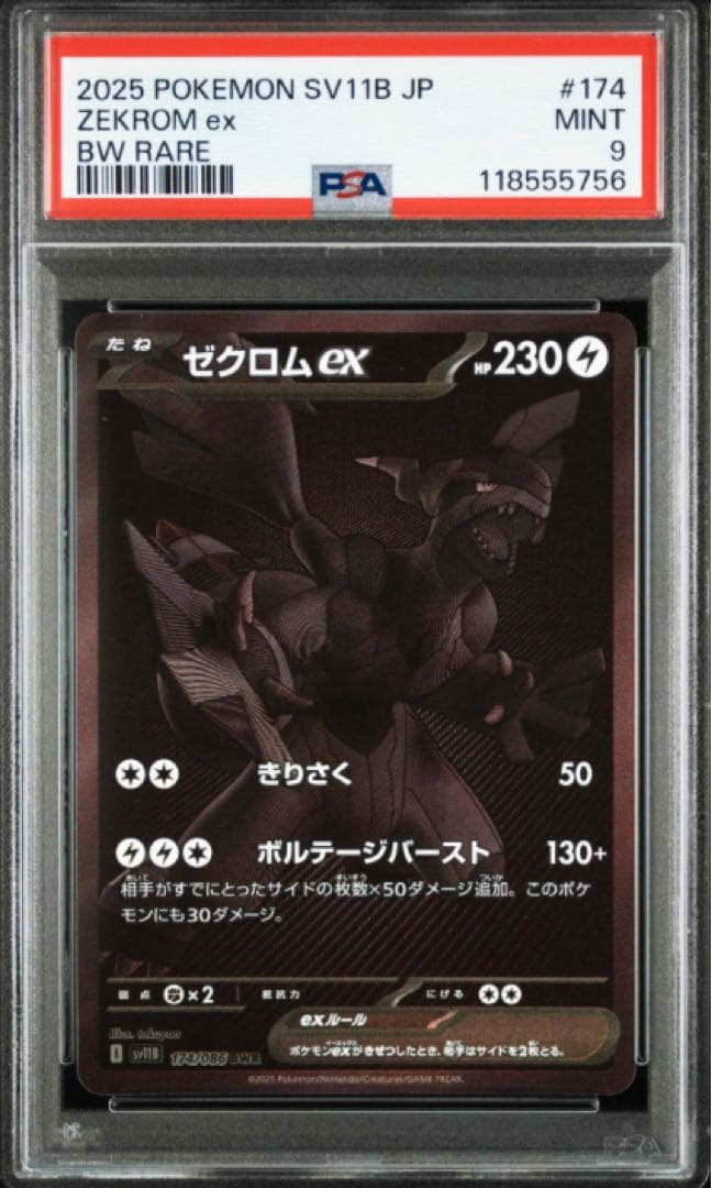 PSA9】女神たちの声援 データカードダス シークレット ドラゴンボール