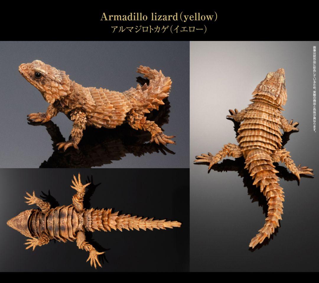 いきもの大図鑑アドバンス　アルマジロトカゲ　全４種フルコンプ　個包装　新品未開封
