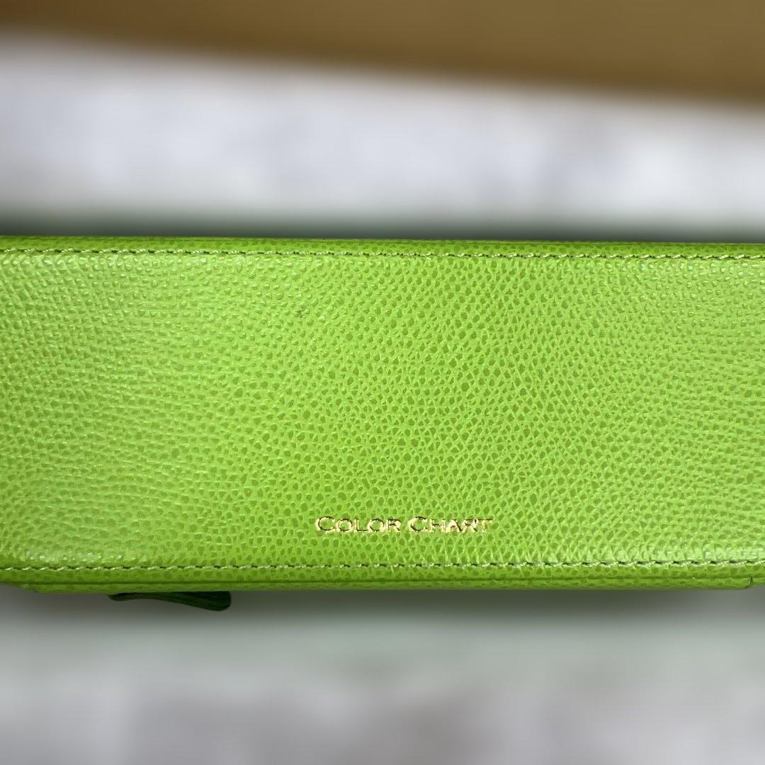 184 カラーチャート ペンケース (70 Morning dew)