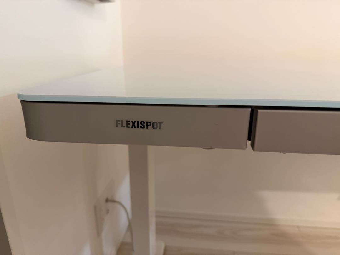 Flexispot EG8 昇格デスク 高さ調整 デスク ホワイト あやち