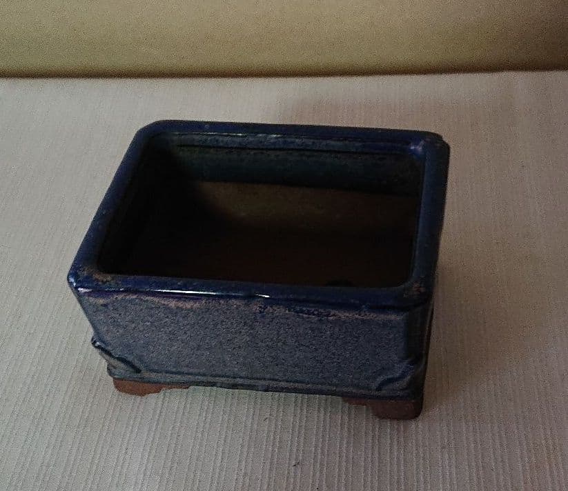 009.【陶翠】春秋/長方樹盆/盆栽鉢/木箱付き 009.【陶翠】