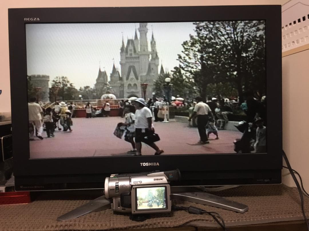 撮影再生ダビングOK　美品　SONY　DCR-TRV310　付属品有　Hi8