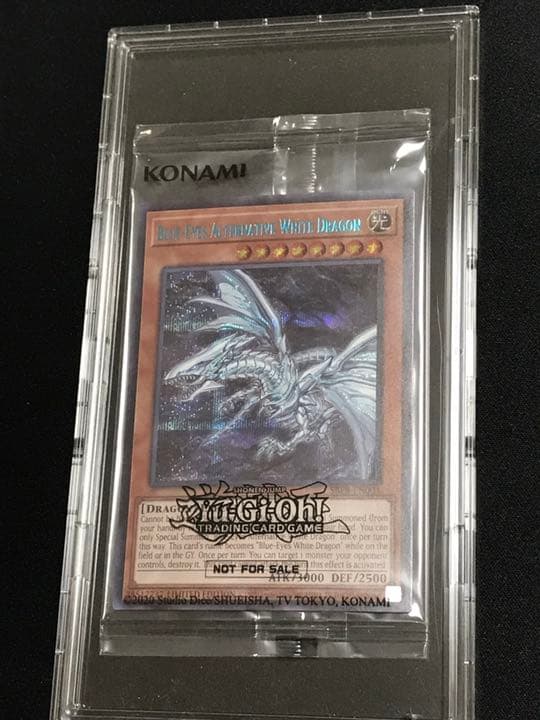 遊戯王 英語 未開封 青眼の亜白龍 オルタナティブ ブルシク 遊戯王