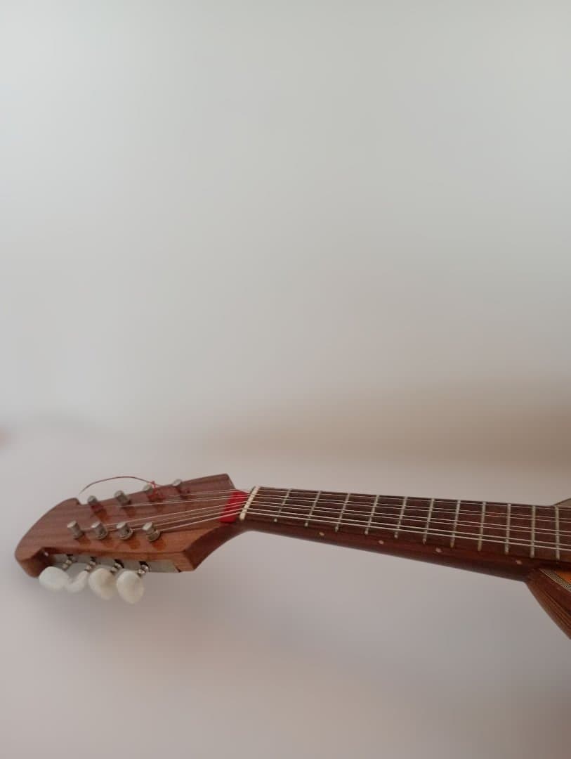 Calaceカラーチェ Mandolinマンドリン【No.24】