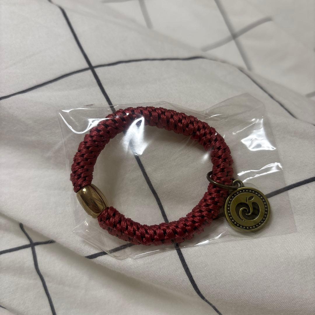 Mrs. GREEN APPLE コインヘアタイ赤 1点 Mrs GREEN APPLE JAMSスピード