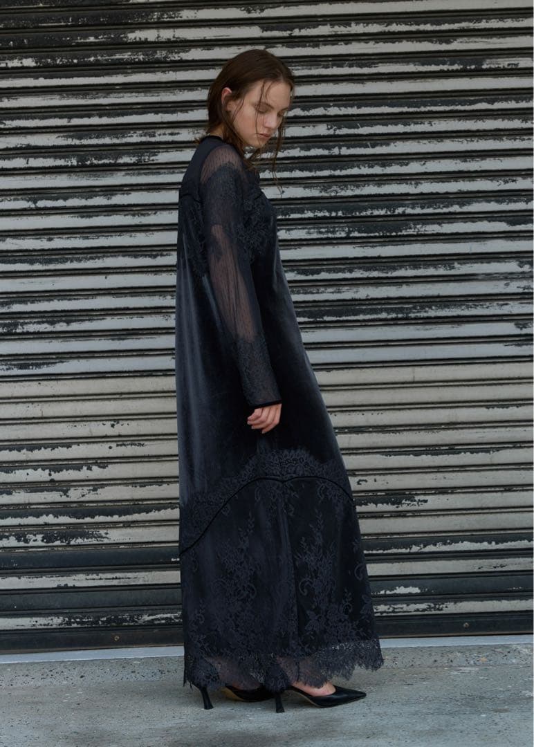 WILLFULLY dot tulle panel lace velour OP - メルカリ