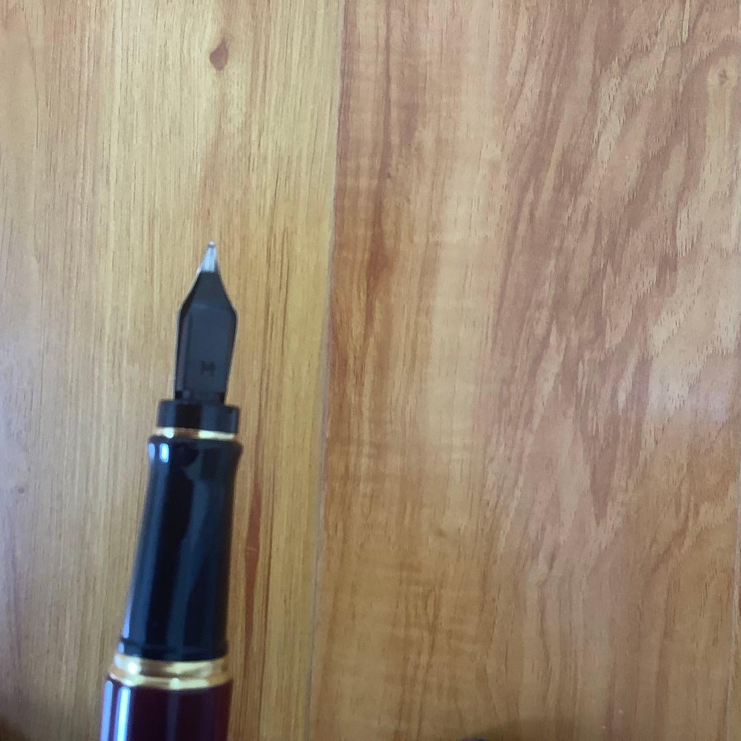 z132]Waterman 万年筆セット