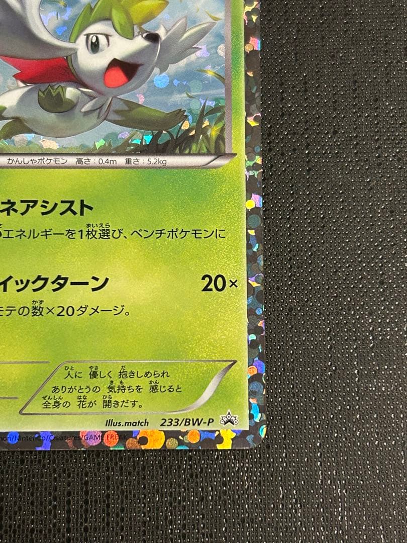 ランディー・ジョンソン カート・シリング パッチカード ラストナンバー