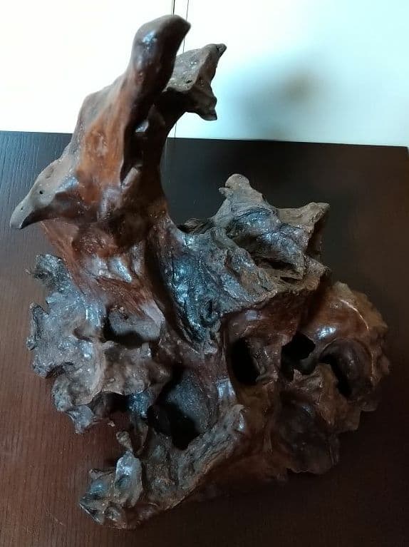 天然木 枯れ木 切り株 流木 オブジェ 床の間 飾り 希少 アート