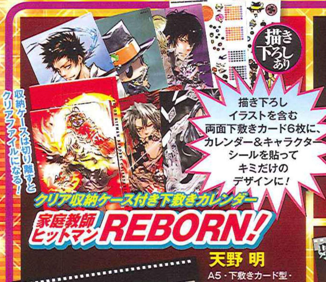 家庭教師ヒットマンREBORN！ 集英社コミックカレンダー 原作絵 天野明
