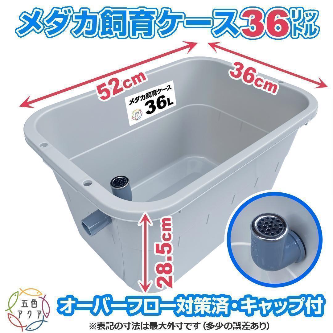 新仕様】メダカ飼育ケース 36㍑x5個（4色あり） オーバーフロー対策済 金魚