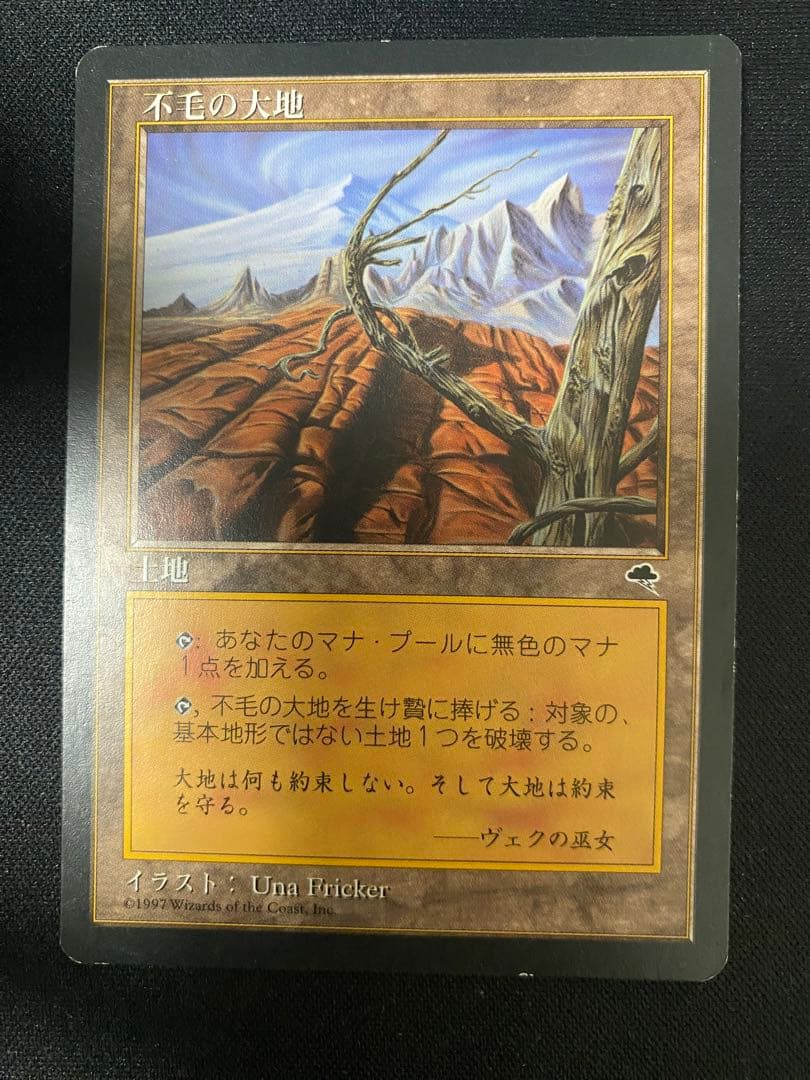 MTG 不毛の大地日本語版4枚セット