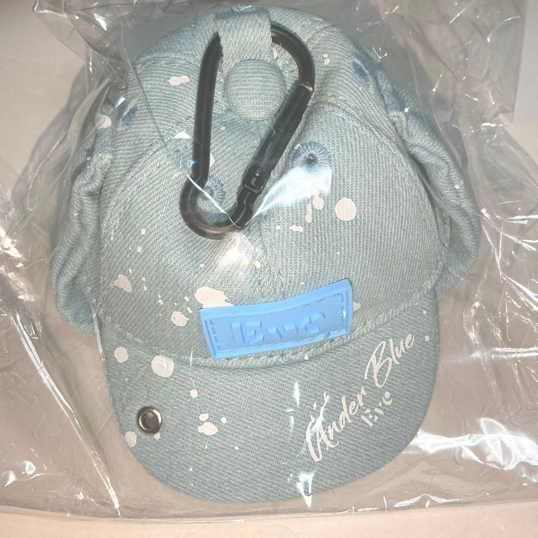 24時間以内発送！Eve くじ キャップポーチ underblue - メルカリ