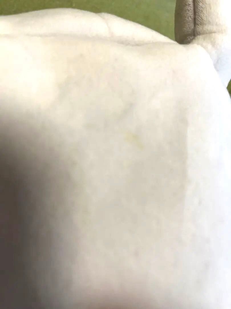 BigMore! カラカラ キーホルダー付　ぬいぐるみポケモン　三英貿易