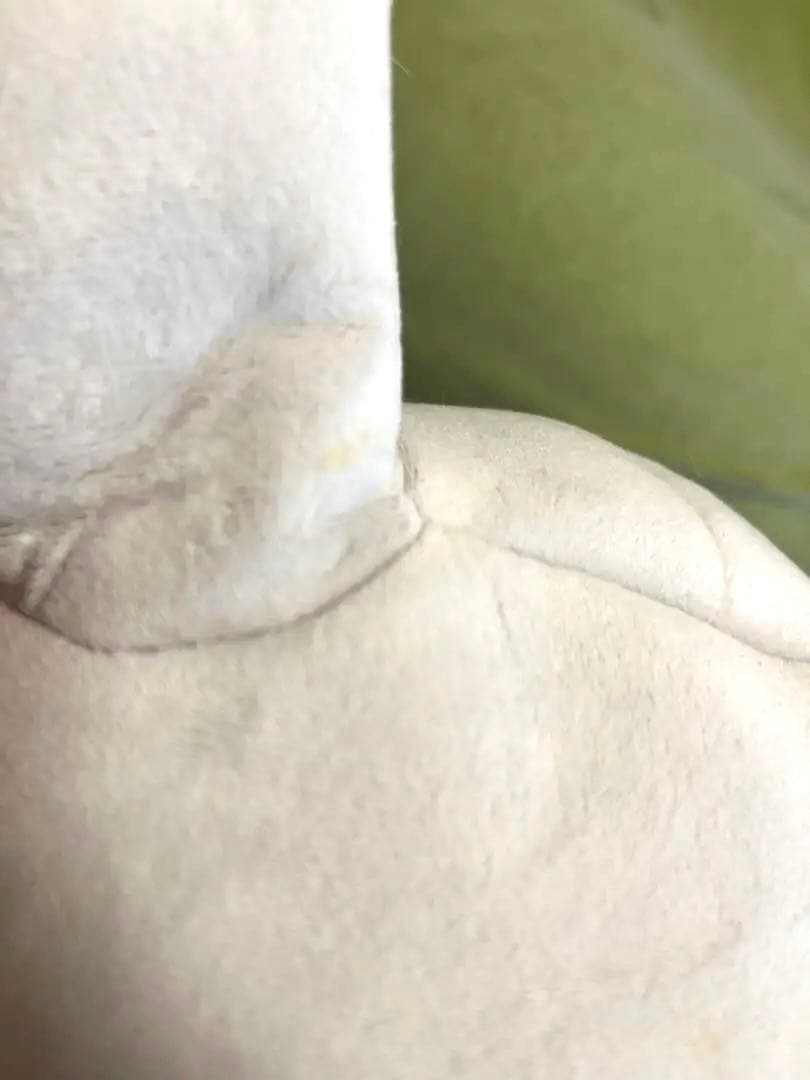 BigMore! カラカラ キーホルダー付　ぬいぐるみポケモン　三英貿易