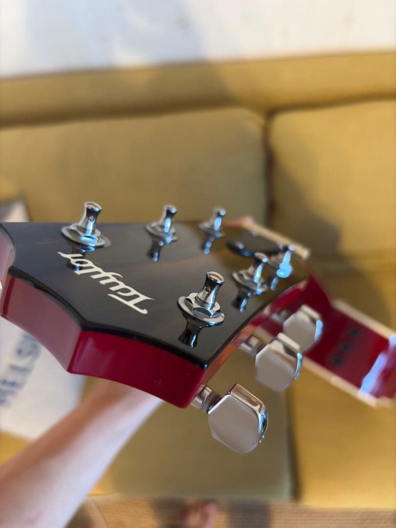 超美品】Taylor 214ce RED DLX ES2 2019 ケース付 - メルカリ