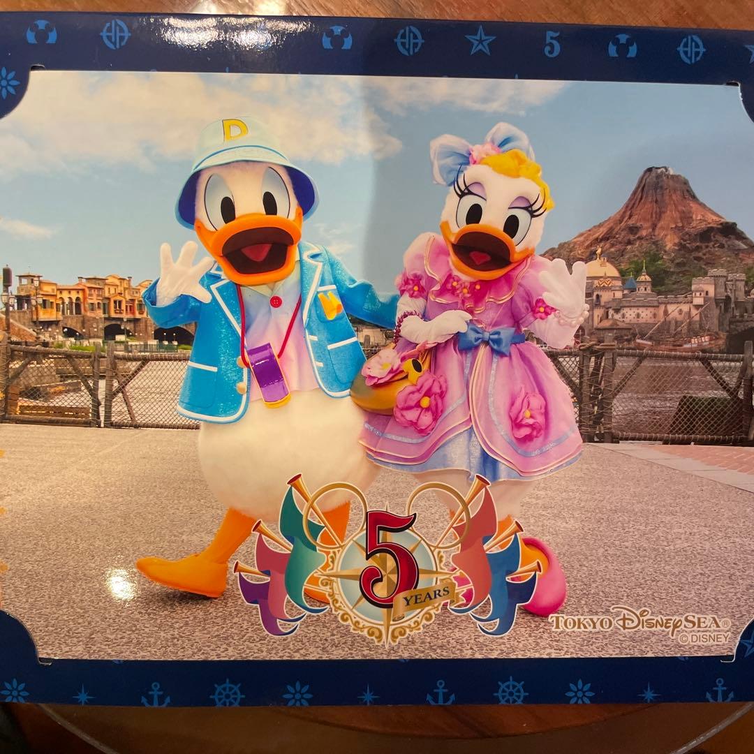 ディズニーシー5周年 フォトファン 写真 台紙 東京ディズニーシー