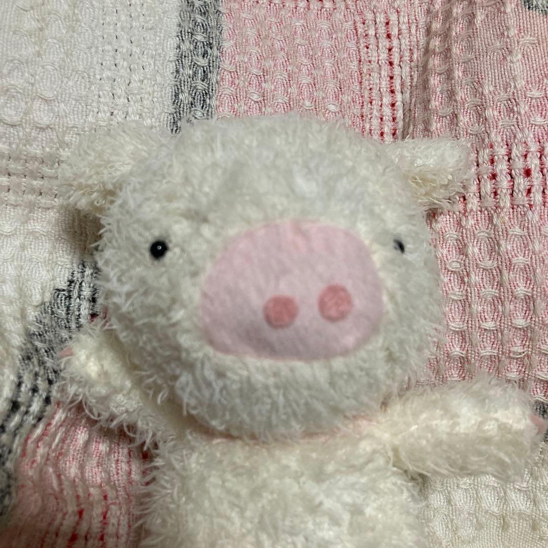 モンスイユ　プリエ　ブタ　ぬいぐるみ　M&Sサイズ 中古品　MAY BLUE