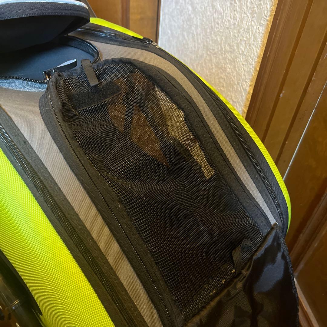 新品・未使用】アイリスオーヤマ 4way pet cart 緑色