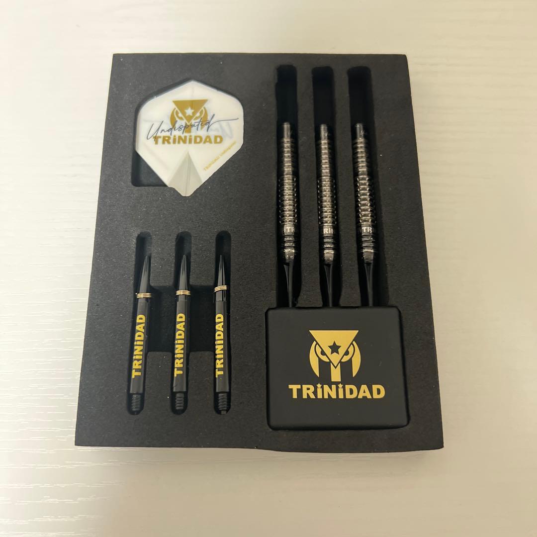 激レア 美品 トリニダード リカルド エスダーツ限定版 浅田斉吾 ダーツ バレル