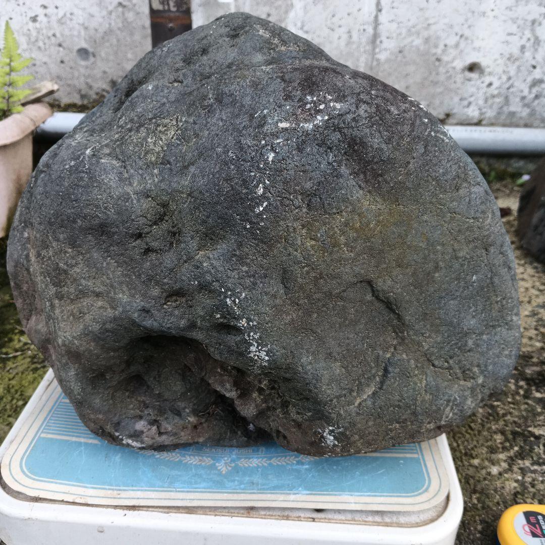 新潟県三大奇石 八海石 26kg 八海山 水無渓谷 八海石(