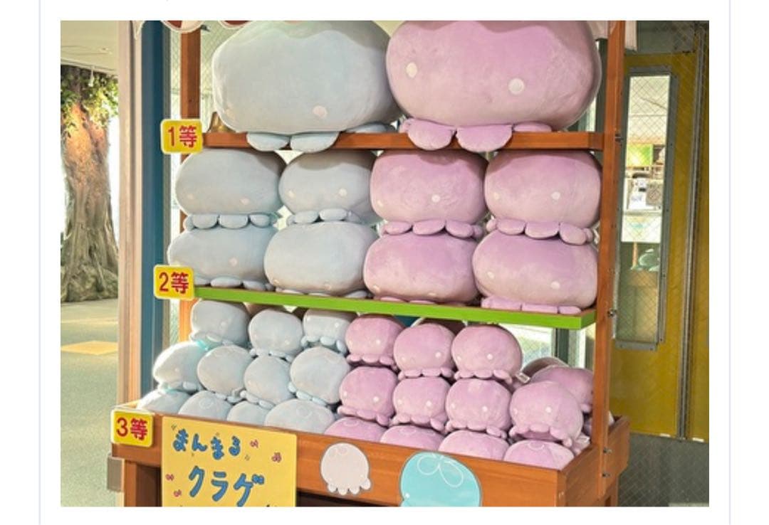 新江ノ島水族館　クラゲ　ぬいぐるみ　くじ１等　くらげ
