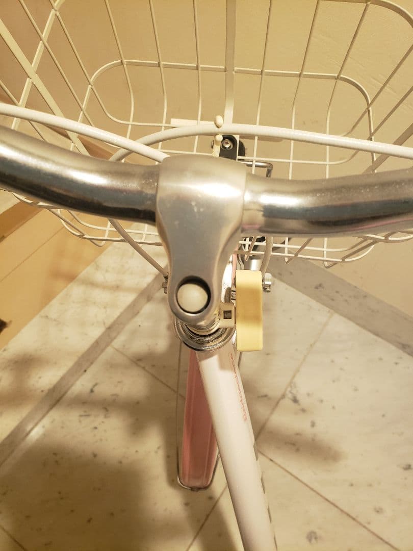 BRIDGESTONE Wild Berry 22 子供用 【室内保管・直渡し】