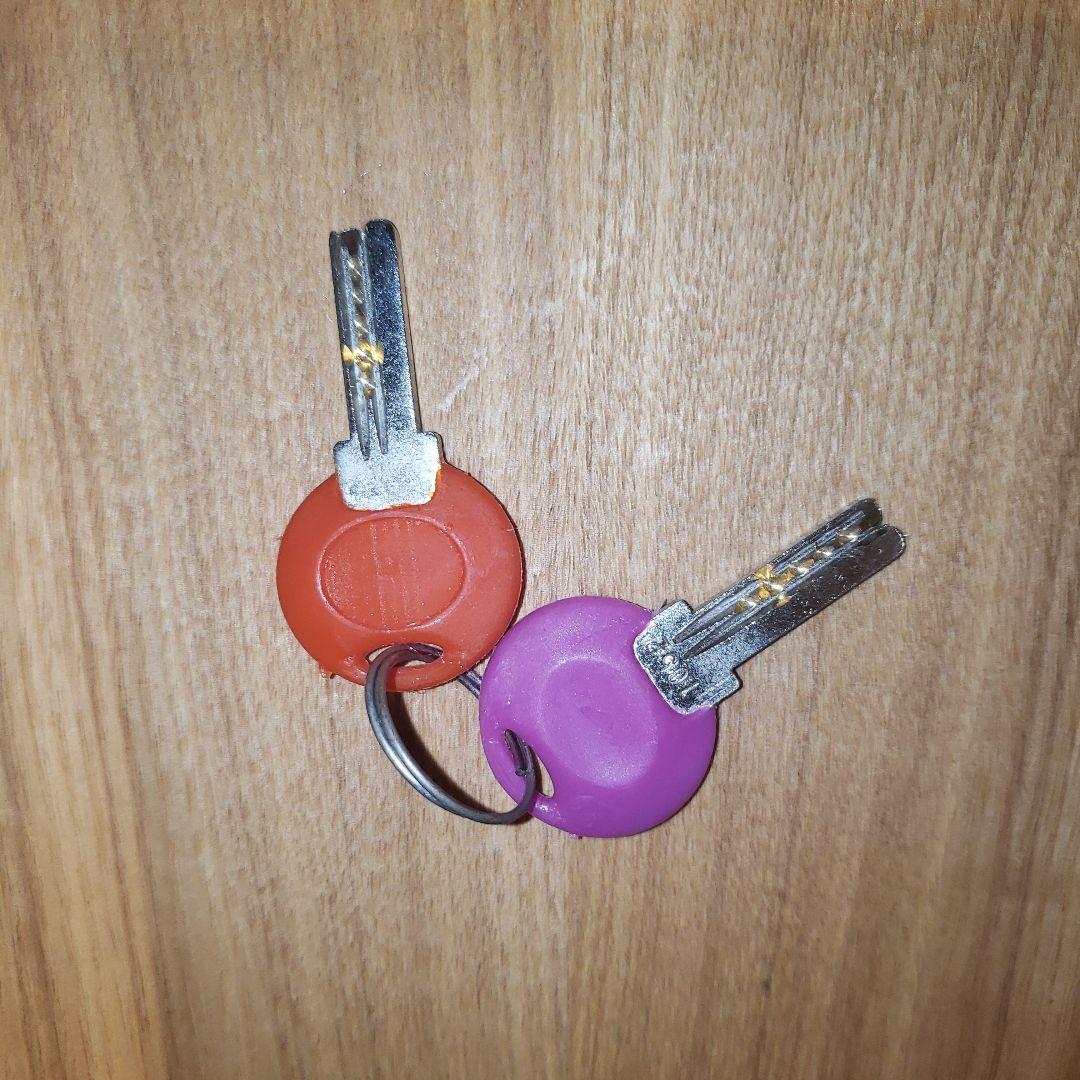 BRIDGESTONE Wild Berry 22 子供用 【室内保管・直渡し】の通販はau