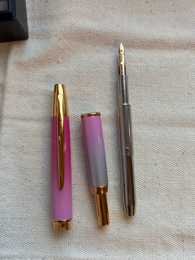 お値下げ不可 ナガサワ 万年筆 キャップレスデシモ 雪御所ザクラ F ゴールド