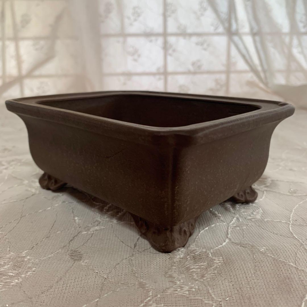 銭号 盆栽鉢 長方